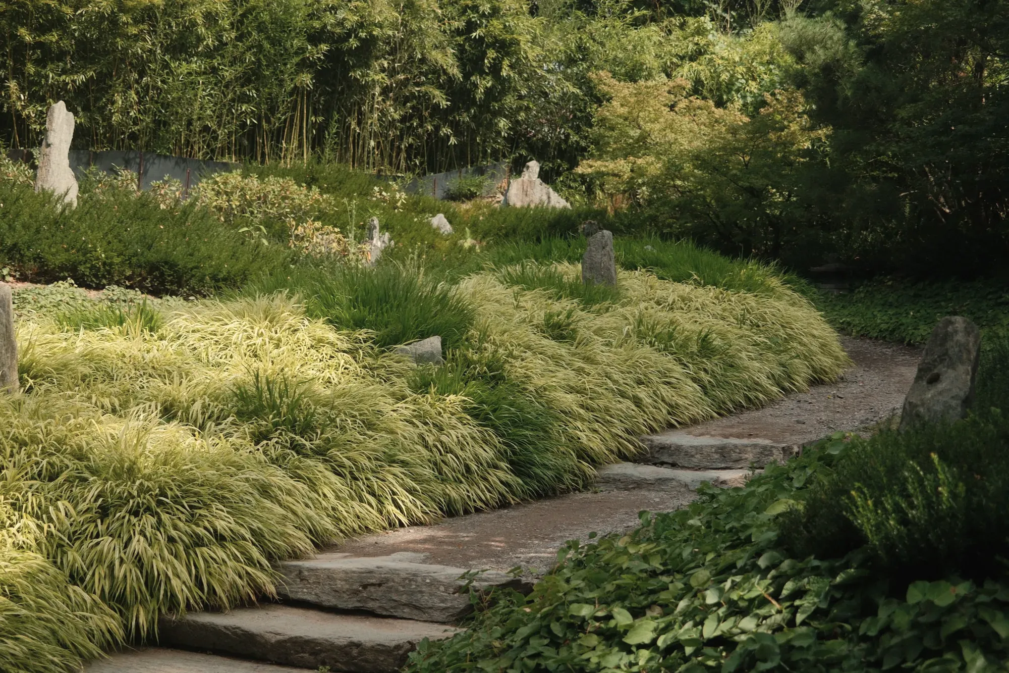 Een stenen pad tussen siergrassen in een rustige tuin