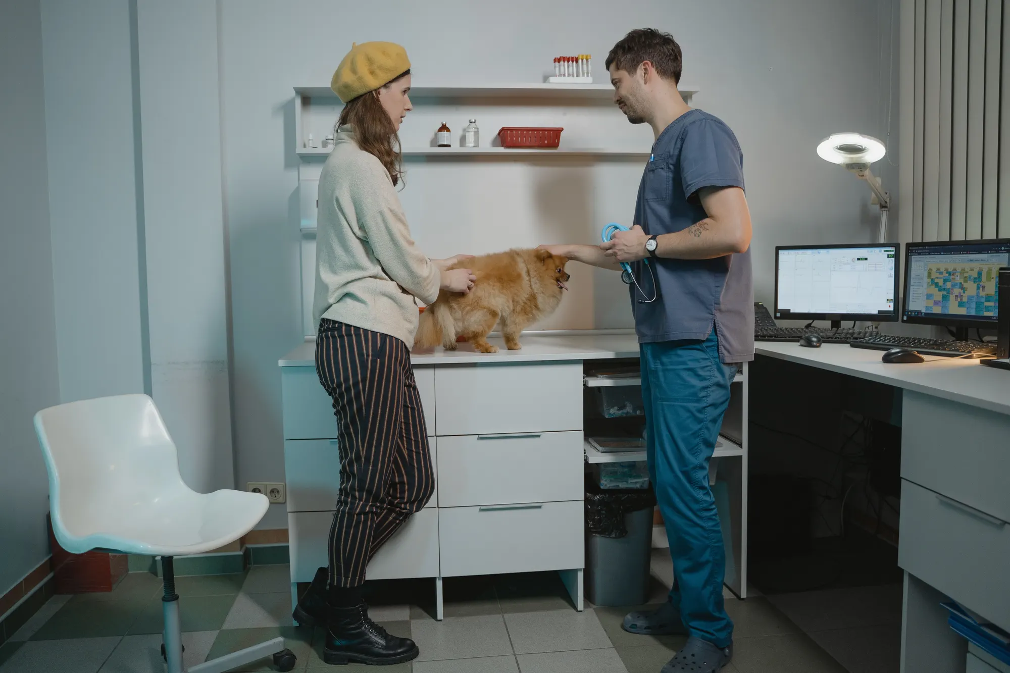 Baasje en dierenarts overleggen bij de behandeltafel
