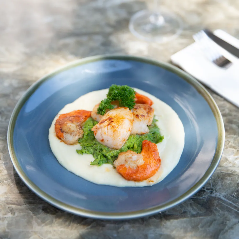 Coquilles op crème met kruiden in een blauw bord
